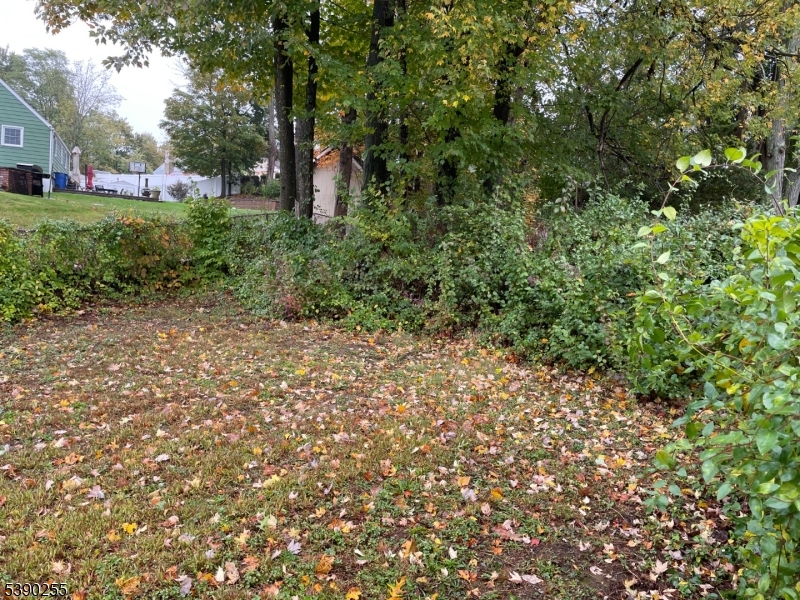 image9