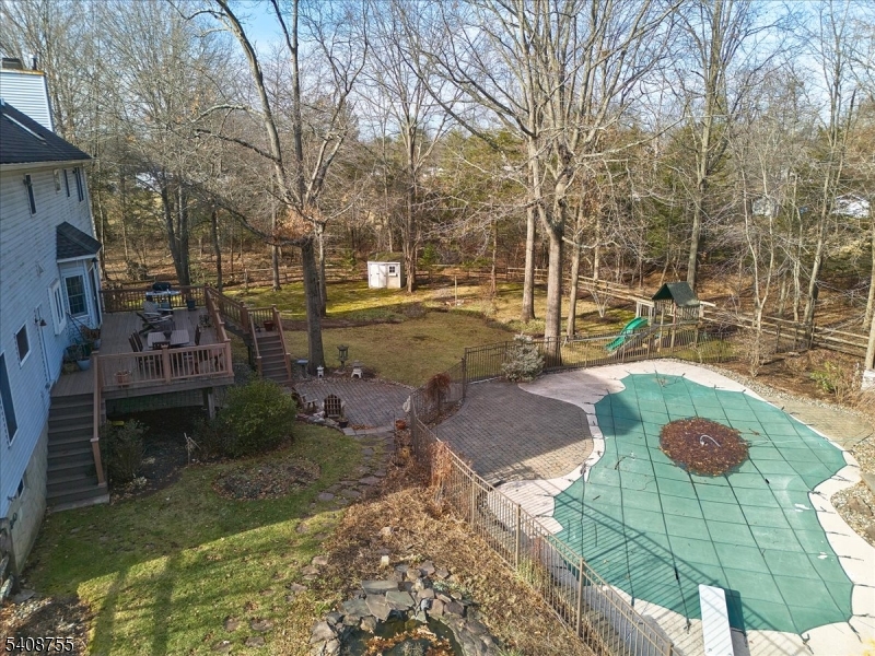 image 41