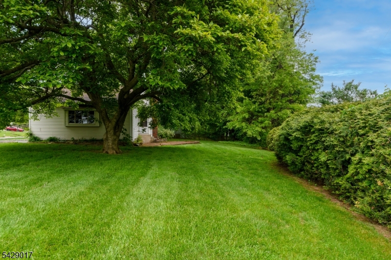 image4