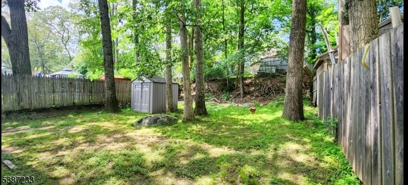image10