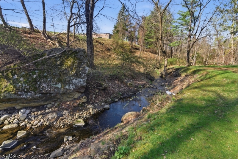 image 45