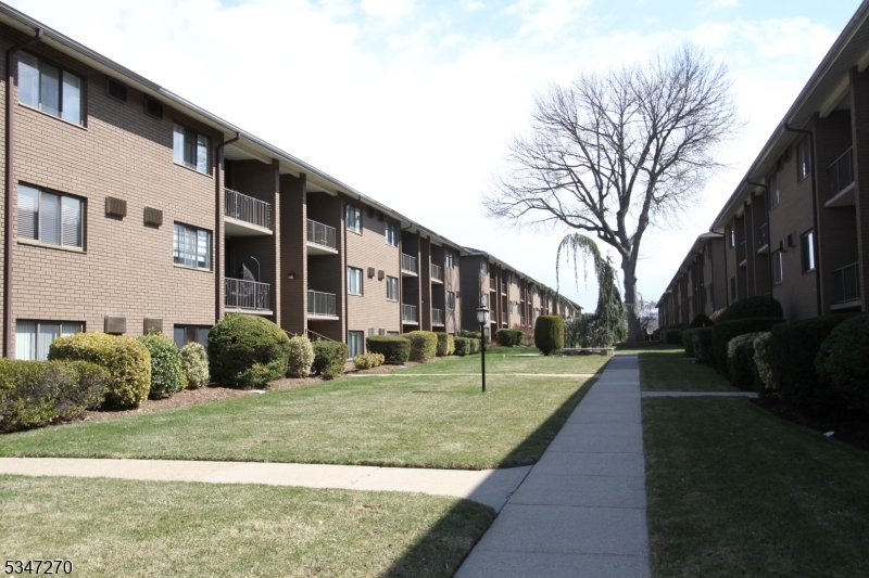 image11