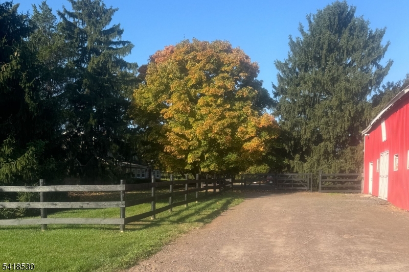 image 32