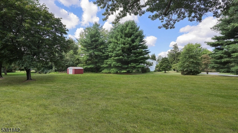 image36
