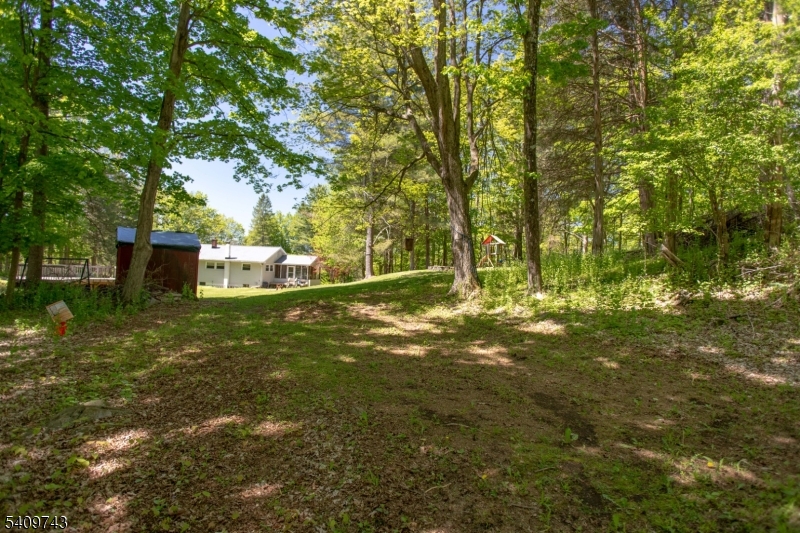 image4