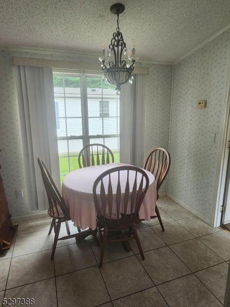 image11