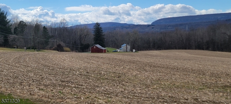 image45