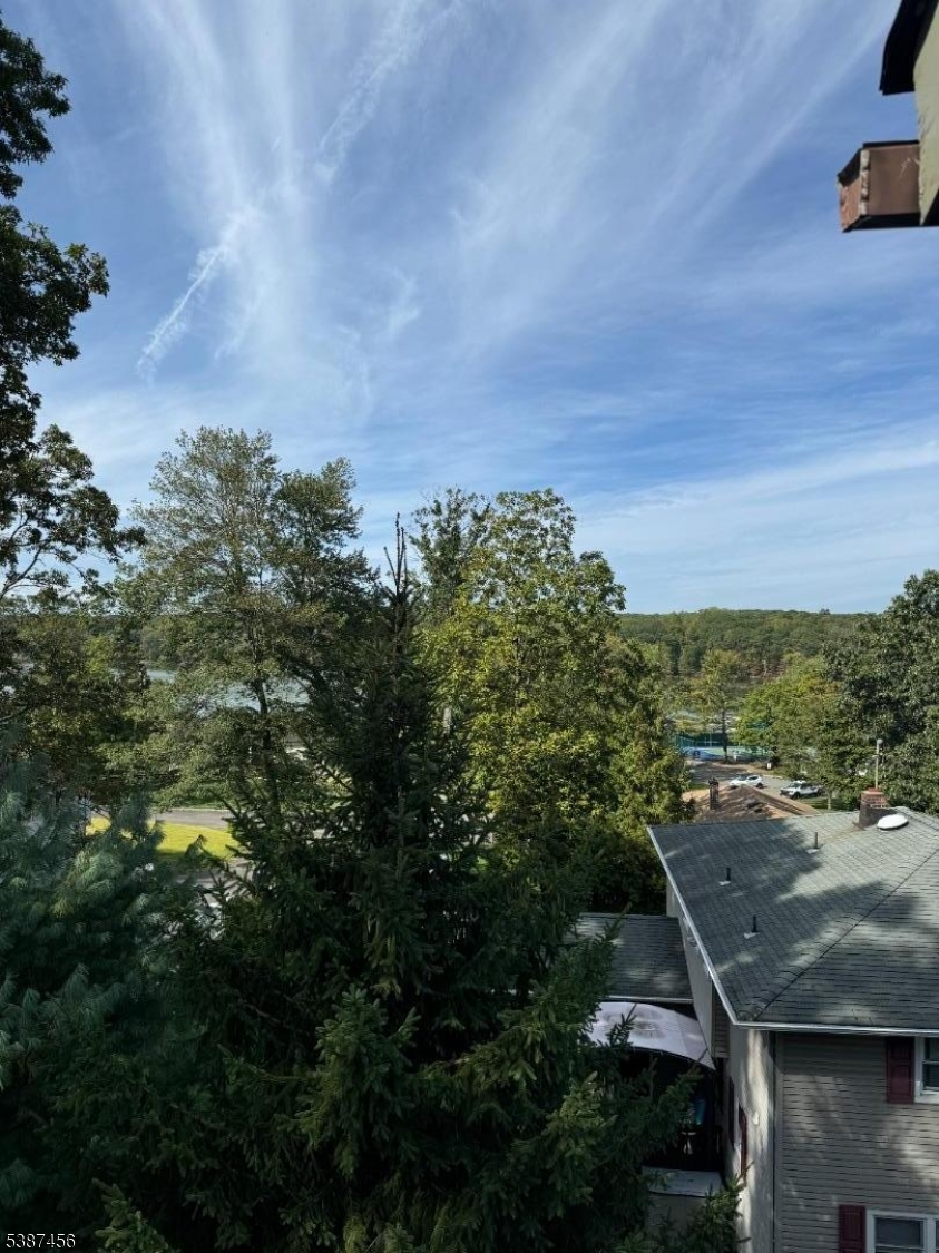 image 33