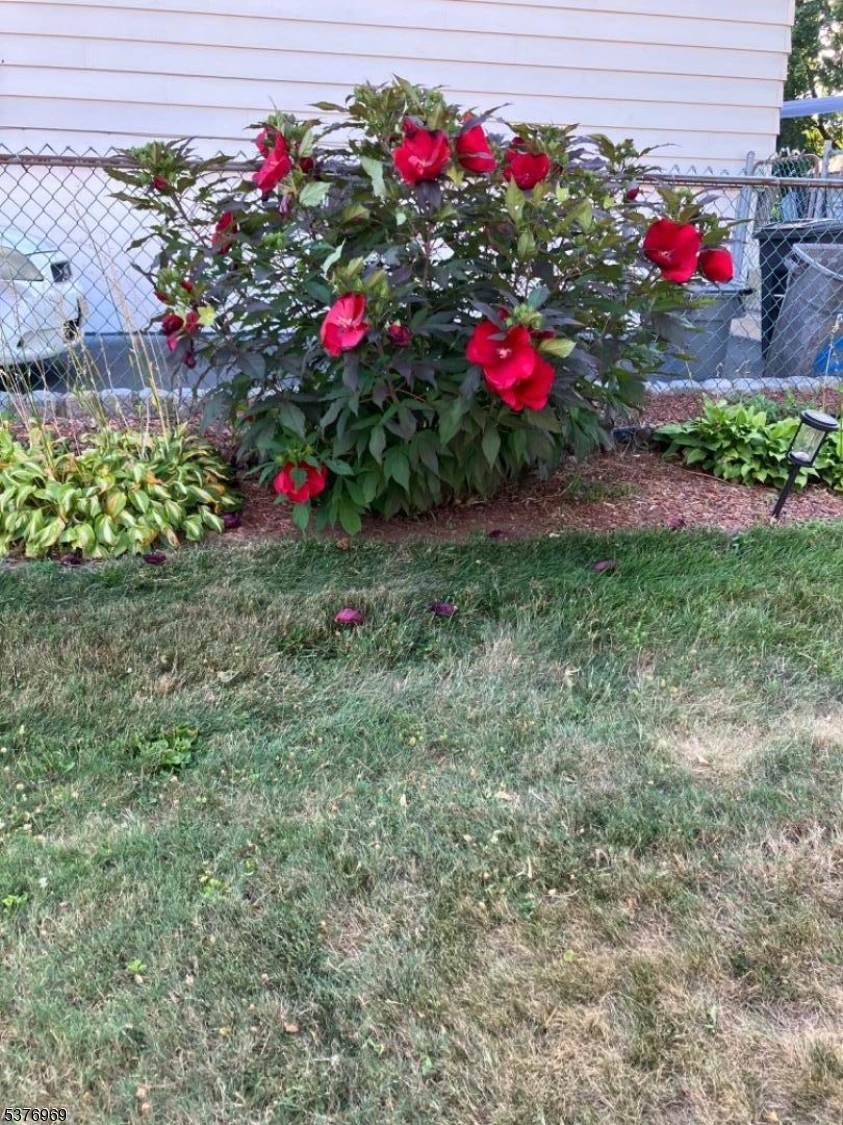 image 27