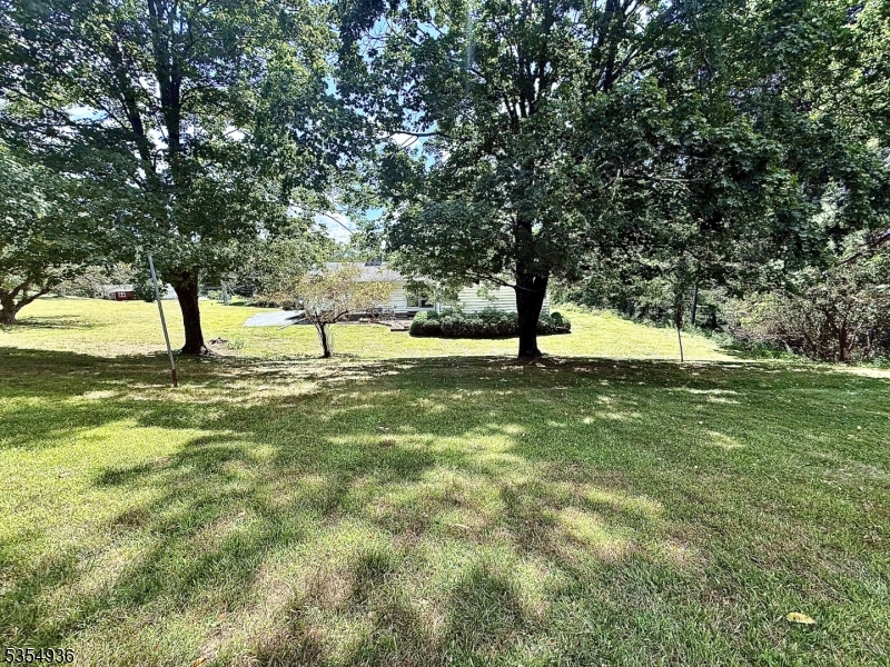 image7