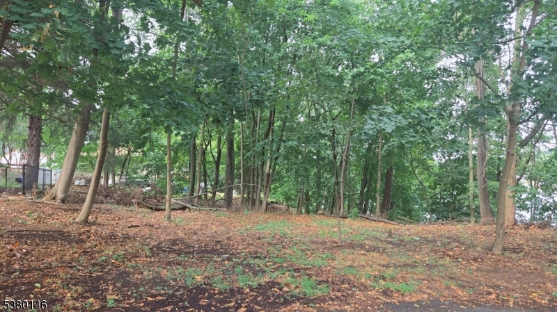 image 24