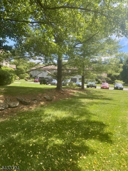 image6
