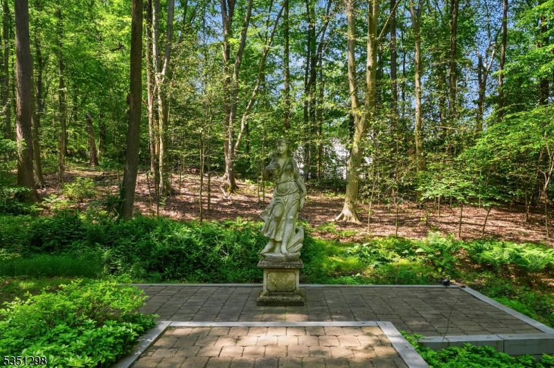 image 33