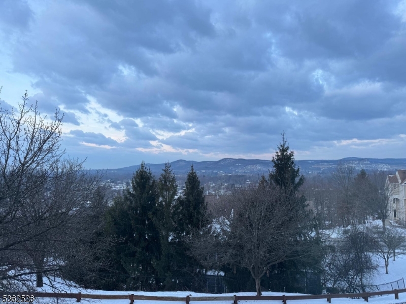 image 31