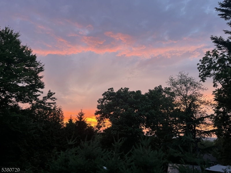 image 27