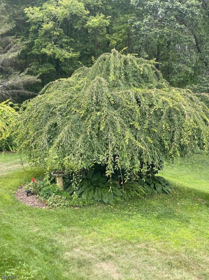 image33