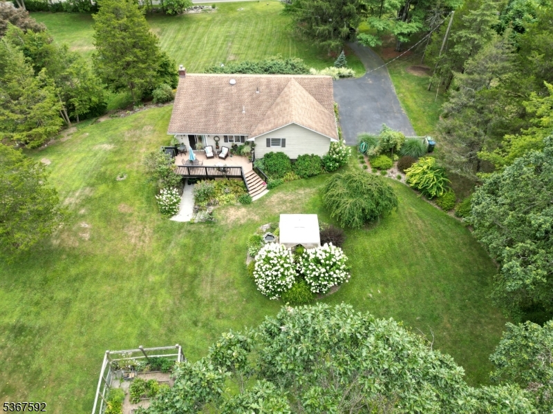 image41