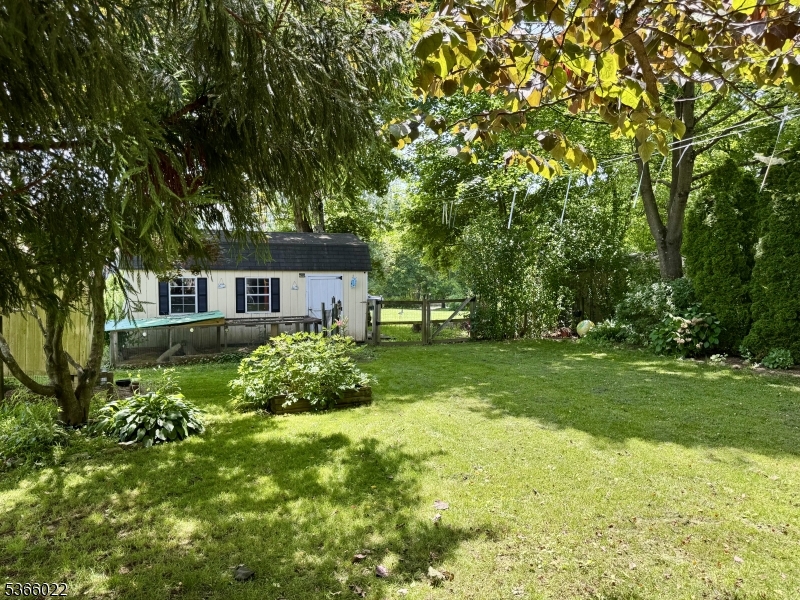 image6