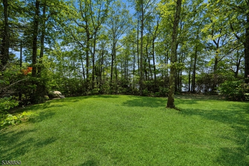 image 33