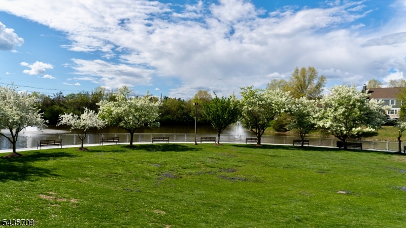 image 25