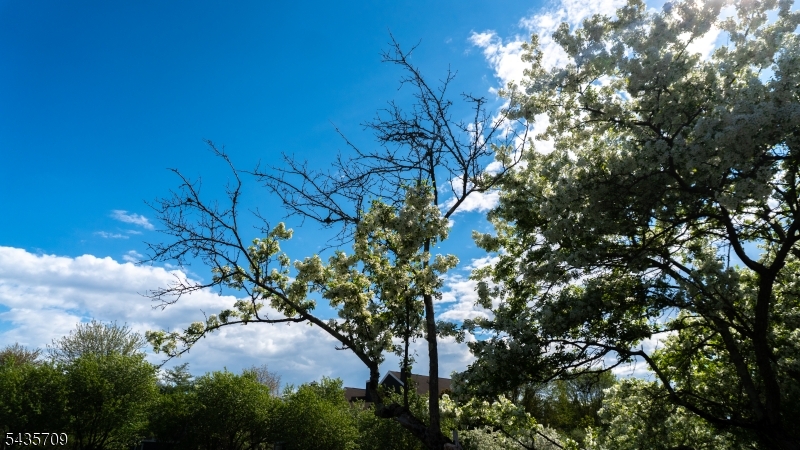 image 28
