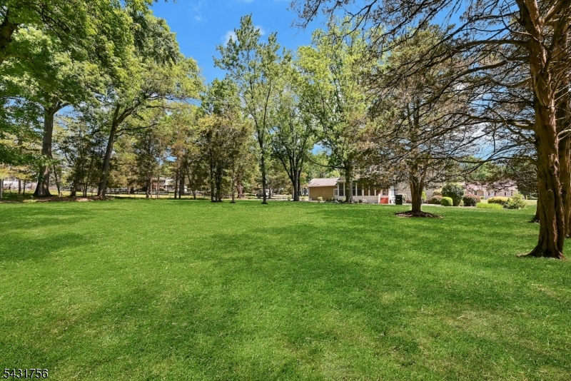 image 31