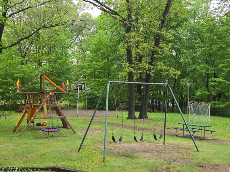 image 33