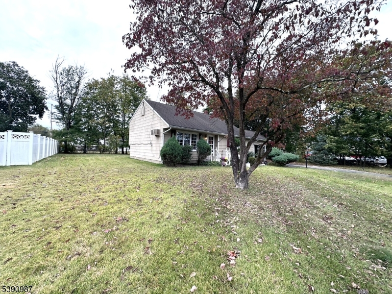 image8