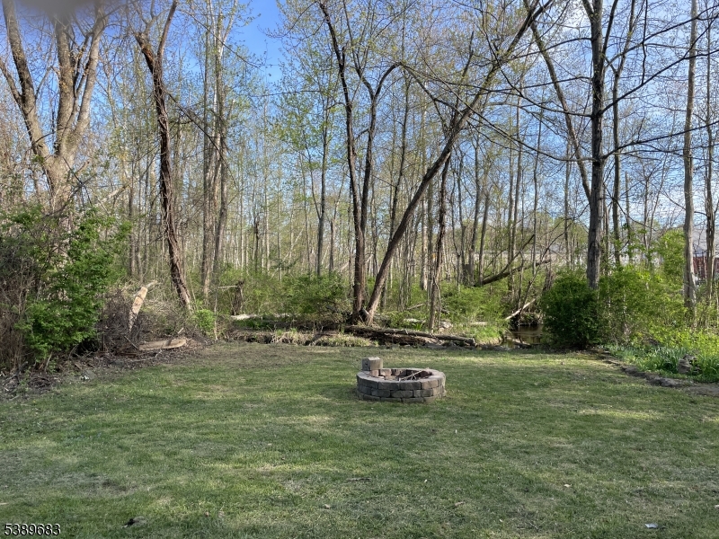 image 48