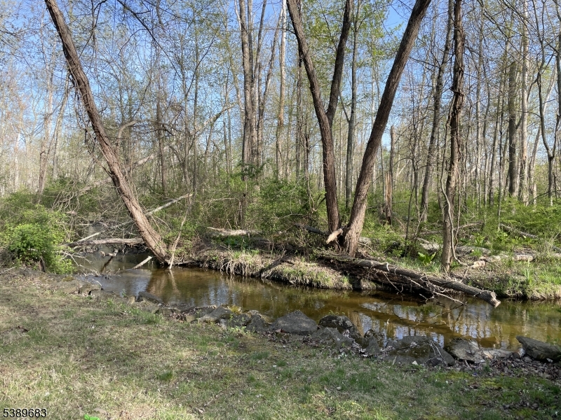 image 49