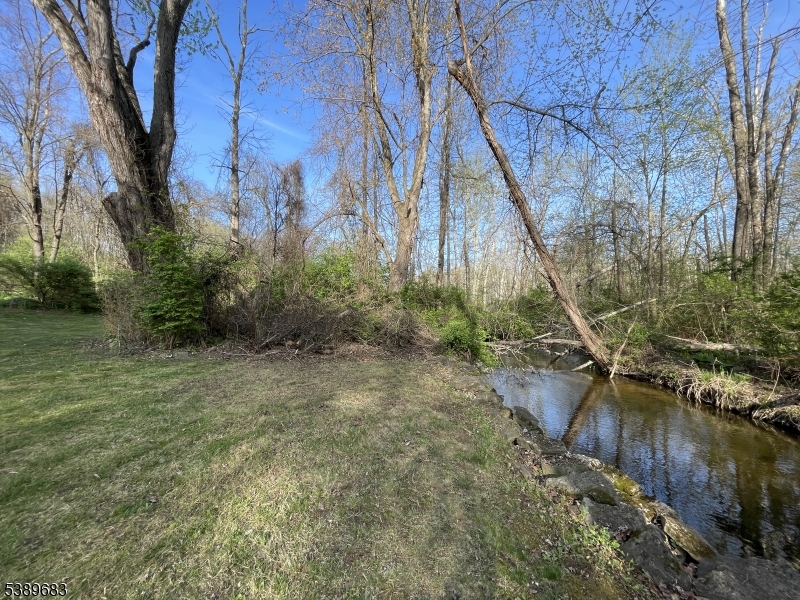 image 50