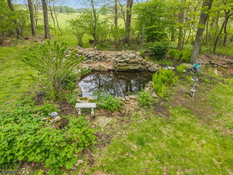 image 24