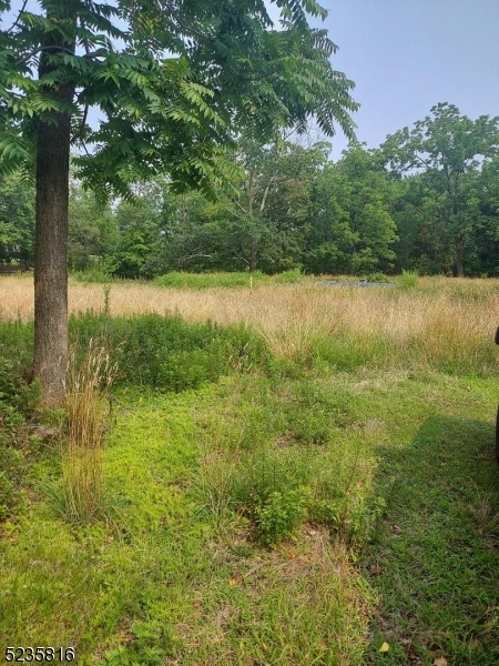 image22