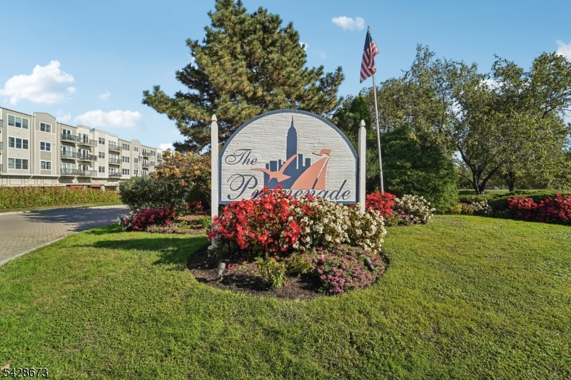 image11
