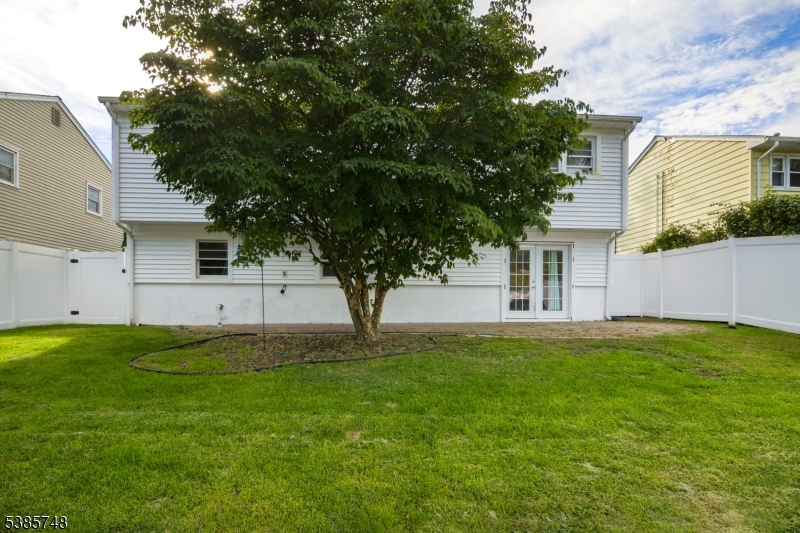 image 25