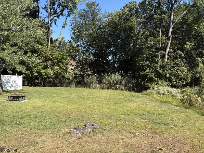 image11