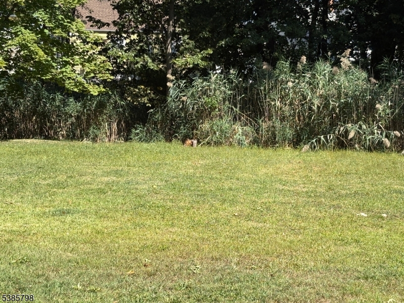 image12