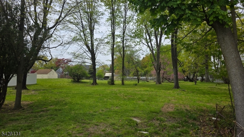 image6