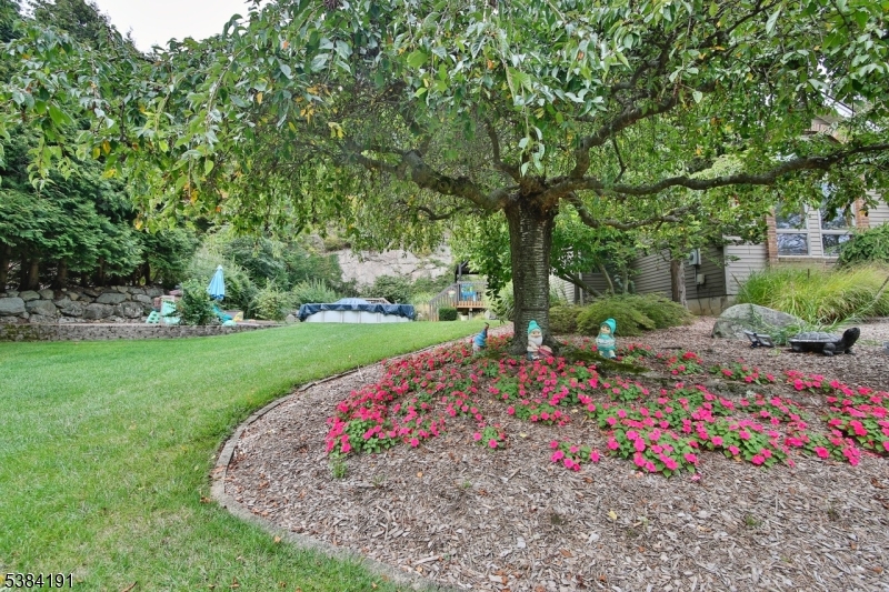 image23