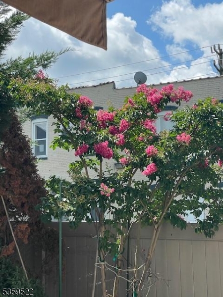 image20