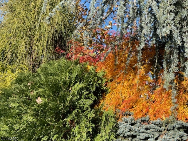 image23