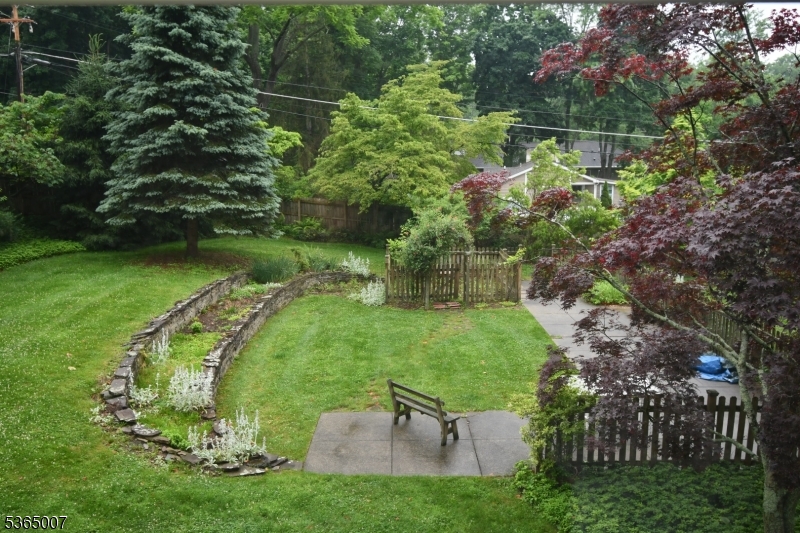 image41