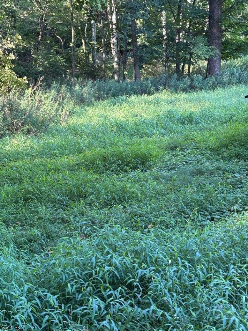 image12