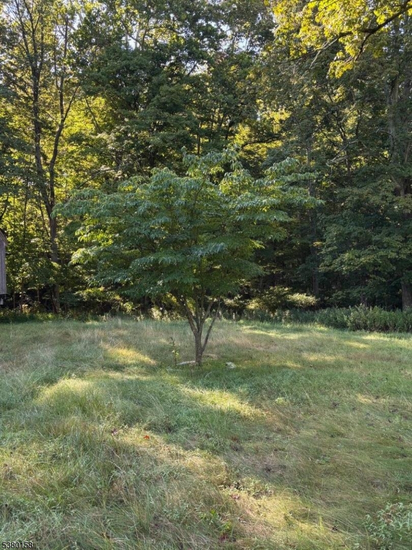 image15