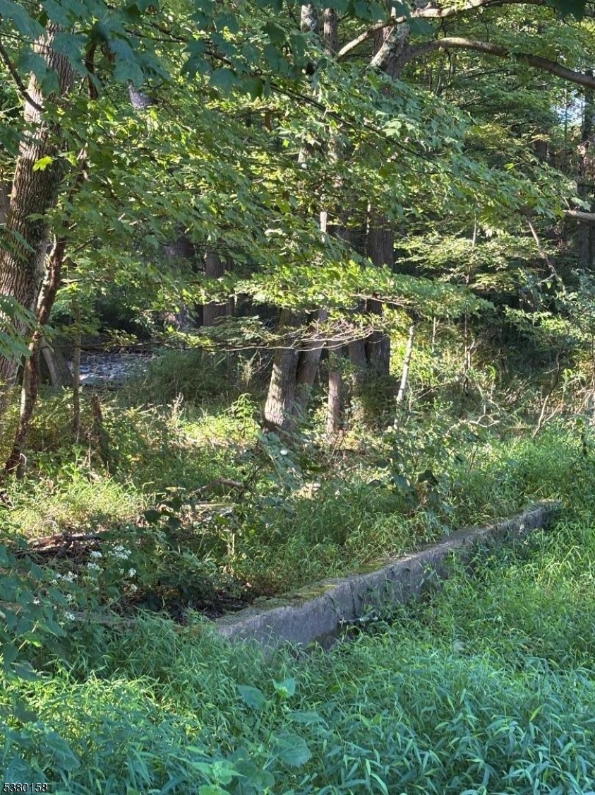 image16