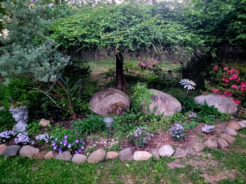 image 44