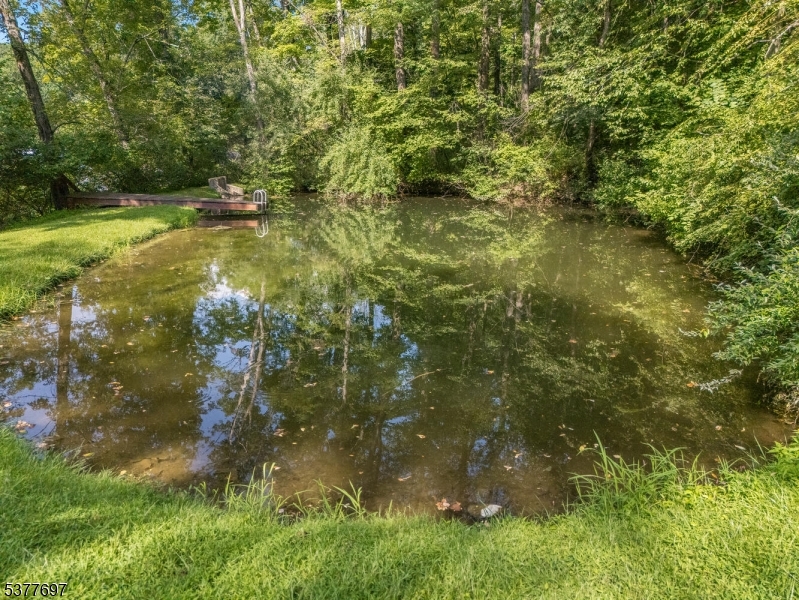 image36