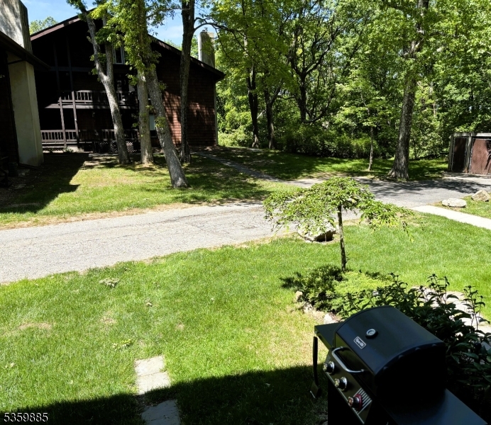 image 32