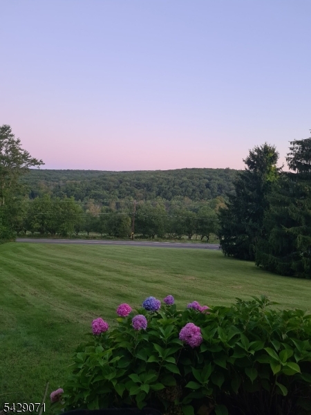 image25