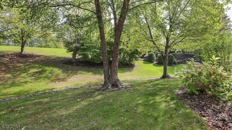 image 30